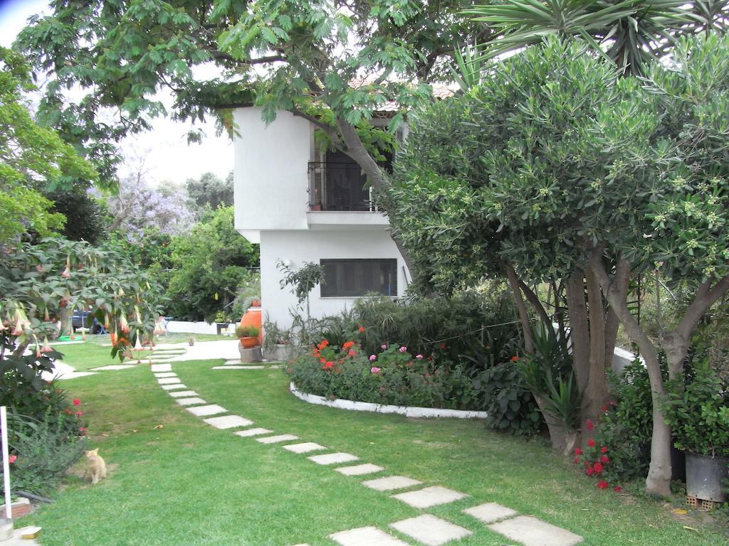 Villa Yiannis (Adults Only) Мегали-Аммос Экстерьер фото