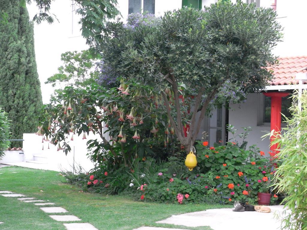 Villa Yiannis (Adults Only) Мегали-Аммос Экстерьер фото